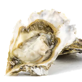 生蚝海鲜超市商品红酒白底图免抠实物摄影png格式图片透明底