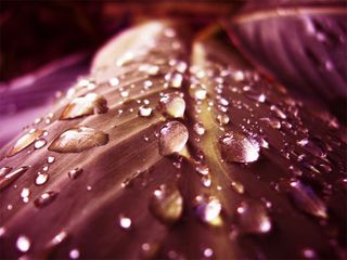 图片设计素材背景炫光背景