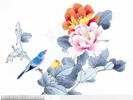 工笔画—牡丹 工笔画—牡丹