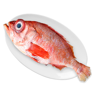 石斑鱼(1)海鲜超市商品红酒白底图免抠实物摄影png格式图片透明底