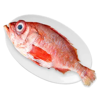 石斑鱼(1)海鲜超市商品红酒白底图免抠实物摄影png格式图片透明底