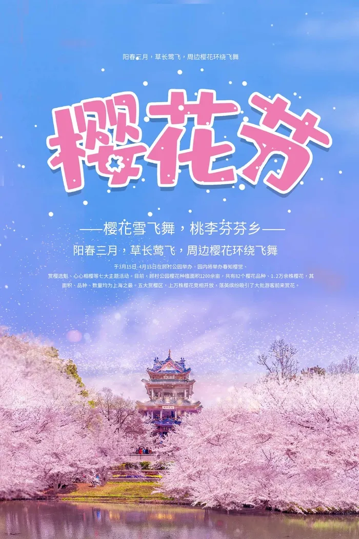 樱花节 樱花节海报模板psd模版下载