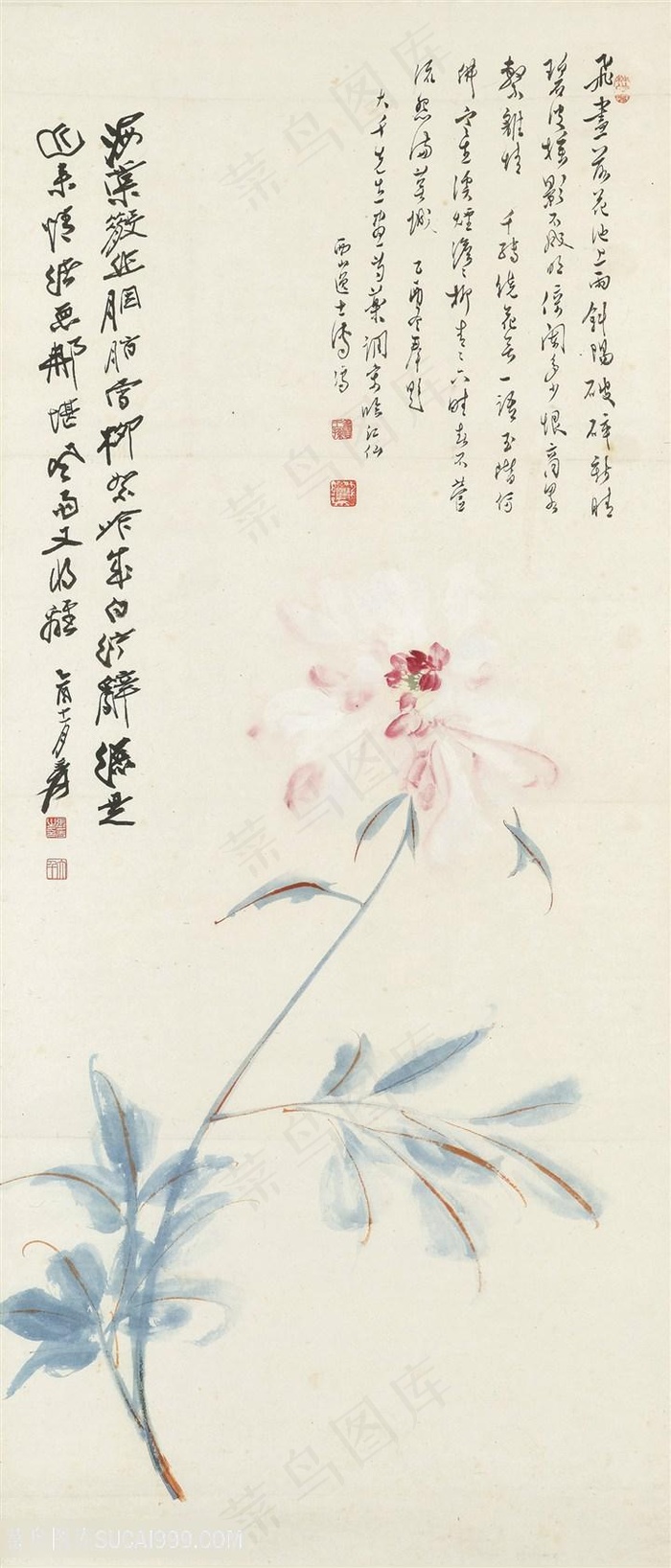 张大千粉色花朵国画图片