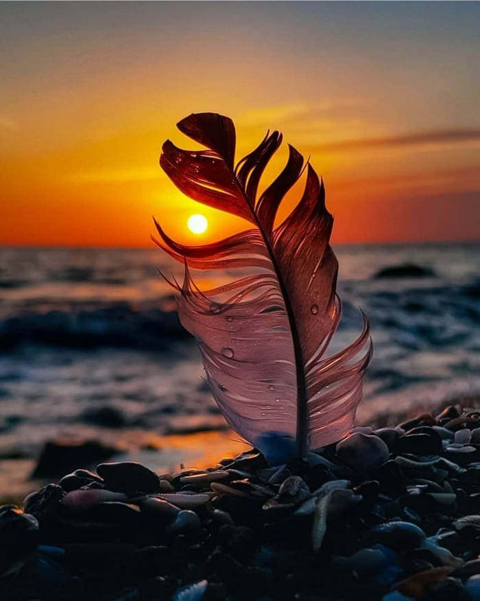 浪漫夕阳摄影