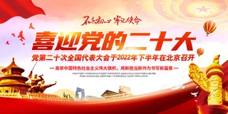 党的二十大