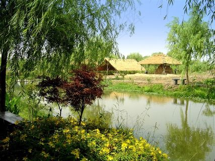 周庄的田园风光