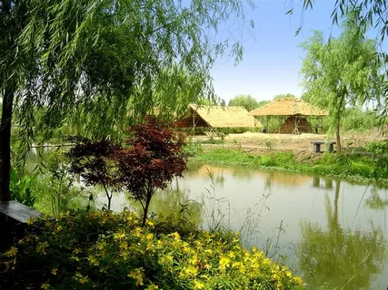 周庄的田园风光