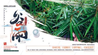 谷雨二十四节气海报设计