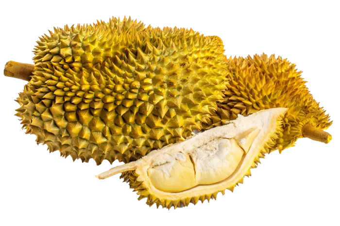 榴莲 (4)水果超市商品白底图免抠实物摄影png格式图片透明底