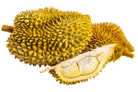 榴莲 (4)水果超市商品白底图免抠实物摄影png格式图片透明底