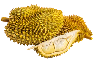 榴莲 (4)水果超市商品白底图免抠实物摄影png格式图片透明底