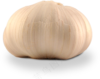 45食材|厨房|食品|百货|美食|免扣