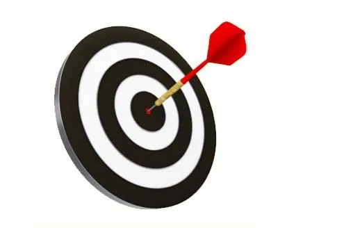 目标 PNG免抠(495x328)