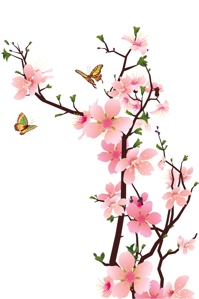 春天浪漫粉红色樱花手绘樱花梅花桃花花朵图片PNG免扣素材