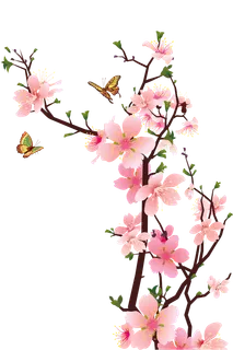 春天浪漫粉红色樱花手绘樱花梅花桃花花朵图片PNG免扣素材 春天浪漫粉红色樱花手绘樱花梅花桃花花朵图片PNG免扣素材