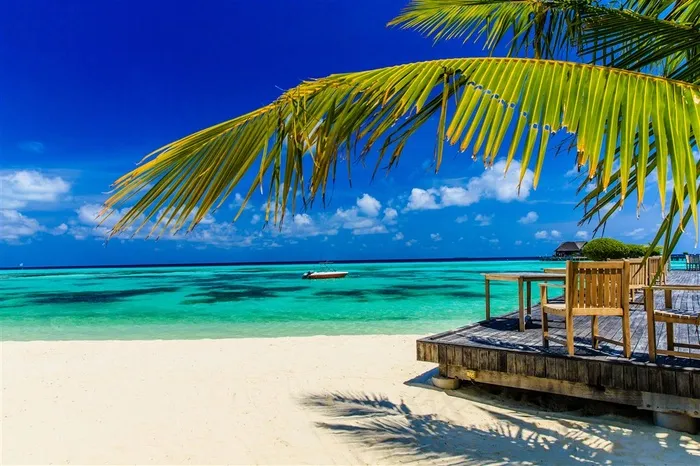 美丽的海滩茅草屋景色图