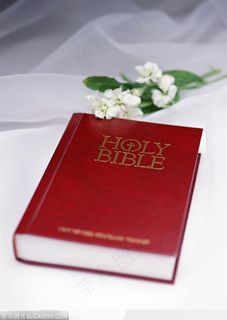 结婚（白绸上的圣经）