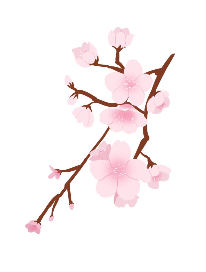 春天浪漫粉红色樱花手绘樱花梅花桃花花朵图片PNG免扣素材