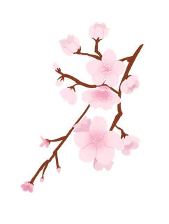 春天浪漫粉红色樱花手绘樱花梅花桃花花朵图片PNG免扣素材