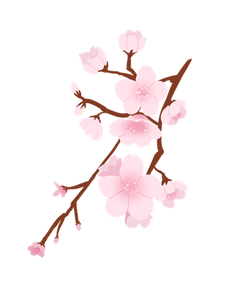 春天浪漫粉红色樱花手绘樱花梅花桃花花朵图片PNG免扣素材