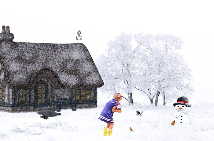 冬天白色背景风景大树