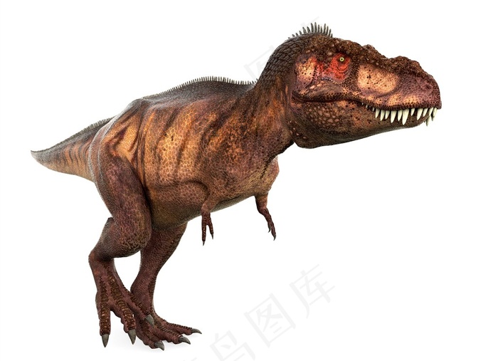 站立的恐龙模型