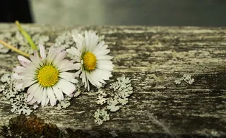 带文字的伤感图片