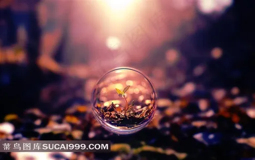 唯美水珠风景素材图片 唯美水珠风景素材图片