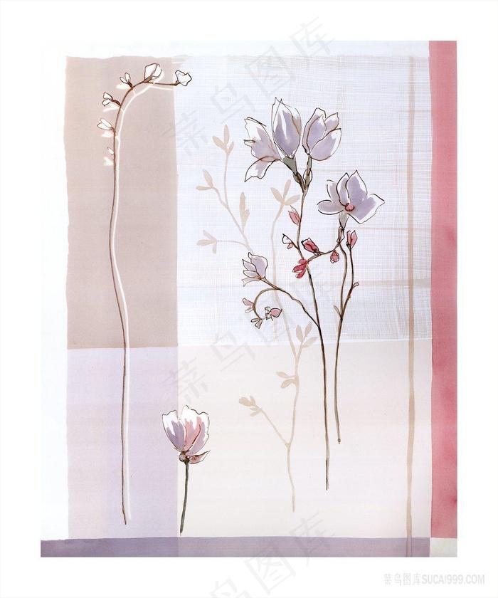 唯美水彩花卉艺术插画