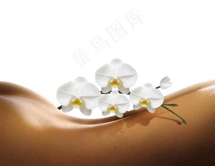 鲜花美背美女