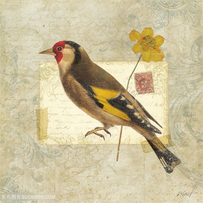 欧式花鸟装饰画