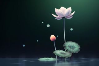 国风夜晚荷花荷叶大气背景