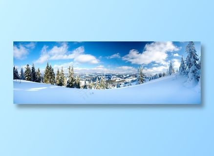 很美丽的雪天树林