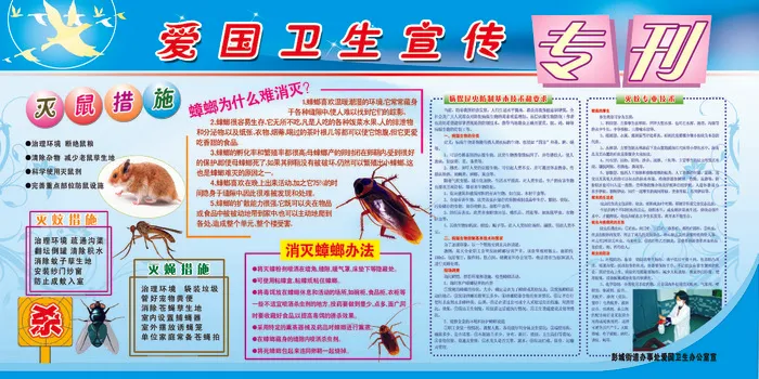 爱国卫生宣传专刊 灭鼠灭蟑螂psd模版下载