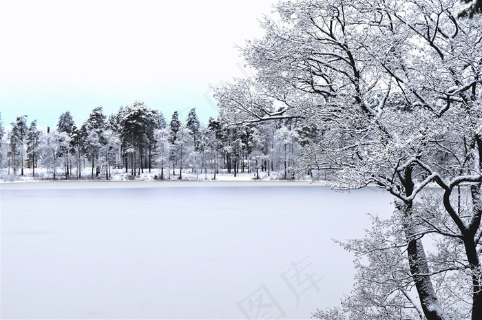 冬天森林的雪景图