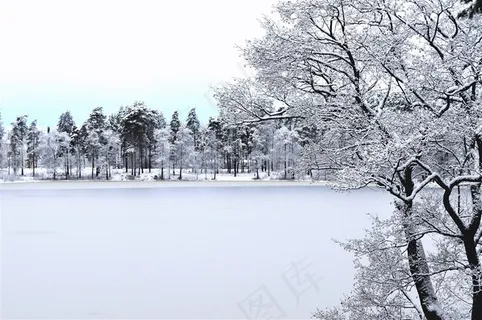 冬天森林的雪景图 冬天森林的雪景图