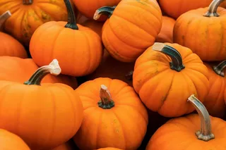 南瓜橘黄色摄影图