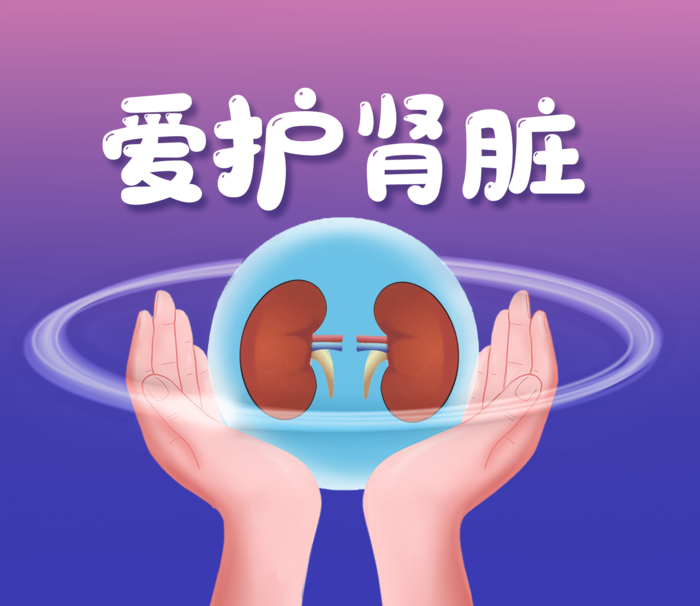 关爱肾脏插图呵护你的肾