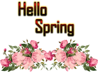 你好春天花朵装饰标题谷雨