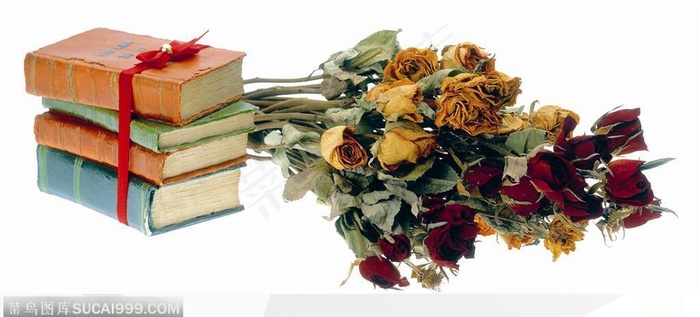 花饰小品-书中夹着的玫瑰干花