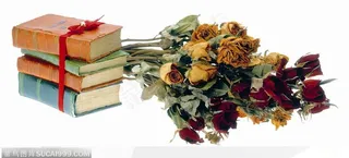 花饰小品-书中夹着的玫瑰干花