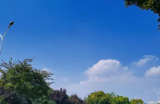 白云蓝天绿树风景