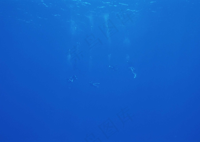 海底世界 39