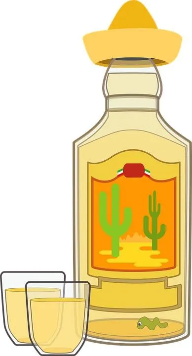 龙舌兰酒 PNG免抠(389x720)