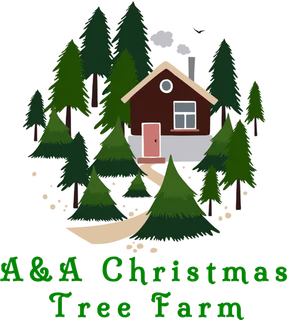 圣诞农场卡通现代农业