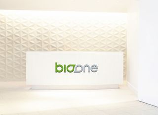 LOGO样机展示效果