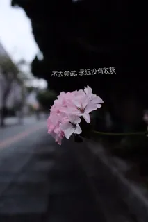 坚持正能量短句图片 坚持正能量短句图片