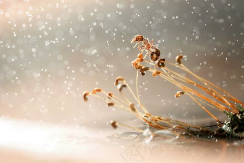 2016年8月月历图片