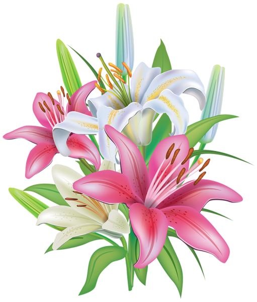 百合花免抠(511x600)