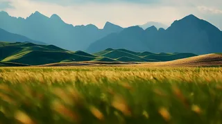 高山山脉草原摄影图